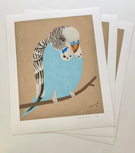 David Wien folk artist hand print drawing silk screen of a light blue parakeet in a wood frame
